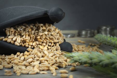 Wheat seeds spilling from a small frame purse with fresh ears of green wheat and staple of coins on a rustic wood background in an agricultural crop and grains prices concept with copy spaceの写真素材