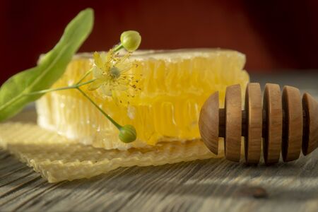 Block of comb honey with flower and wooden utensil for dispensing the honey in a low angle close up view in shadowsの写真素材