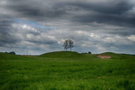 Green pasture with rolling hills at sunset with grey clouds in a blue sky and a copse of woodland trees on the horizonの写真素材