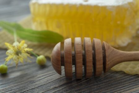 Block of comb honey with flower and wooden utensil for dispensing the honey in a low angle close up view in shadowsの写真素材