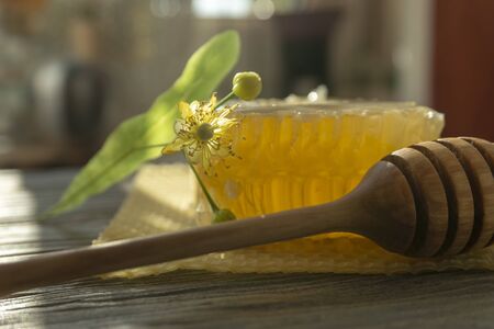 Block of comb honey with flower and wooden utensil for dispensing the honey in a low angle close up view in shadowsの写真素材