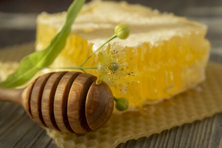 Block of comb honey with flower and wooden utensil for dispensing the honey in a low angle close up view in shadowsの写真素材