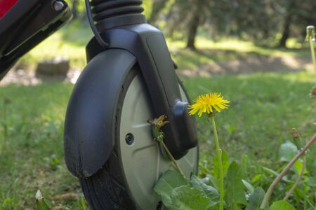 Front wheel of a scooter on meadow grass in a close up low angle view with withered wildflowersの写真素材