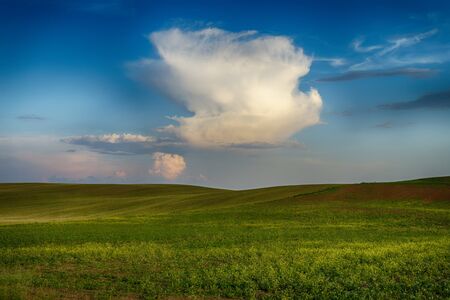 Green pasture with rolling hills at sunset with colorful pink clouds in a blue sky and a copse of woodland trees on the horizonの写真素材