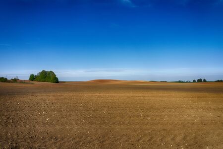 Agricultural landscape with a lone trees in the red earth of a ploughed field in spring under a hazy blue sunny skyの写真素材