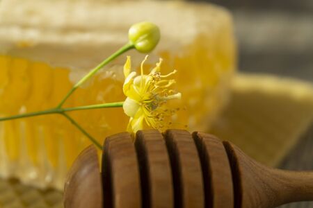 Block of comb honey with flower and wooden utensil for dispensing the honey in a low angle close up view in shadowsの写真素材