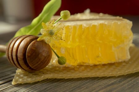 Block of comb honey with flower and wooden utensil for dispensing the honey in a low angle close up view in shadowsの写真素材