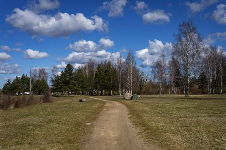 Dirt road leading through grassy fields to woodland trees in rural countryside under a blue sky with fluffy white clouds in a scenic landscapeの写真素材