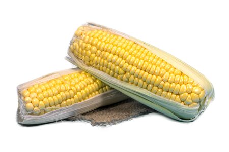 Fresh sweetcorn cob on a square of hessian isolated on white backgroundの写真素材