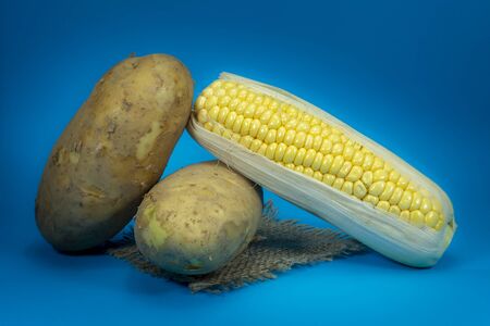 Fresh sweetcorn cob and potatoes on a square of hessian isolated on blue backgroundの写真素材
