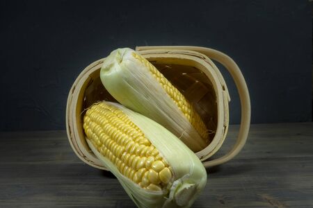 Fresh sweetcorn cobs spilling out of tipped wicker basket onto grey wooden tabletop. Black wall in...
