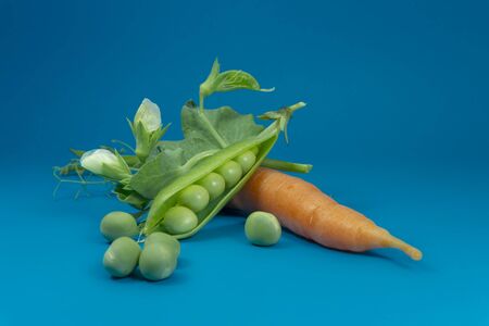 Fresh harvest green pea pods carrot and peas on blue background in a close up viewの写真素材