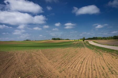 Gravel country road through farm fields and meadow in a spring landscape under a cloudy blue skyの写真素材
