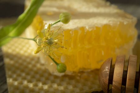 Block of comb honey with flower and wooden utensil for dispensing the honey in a low angle close up view in shadowsの写真素材