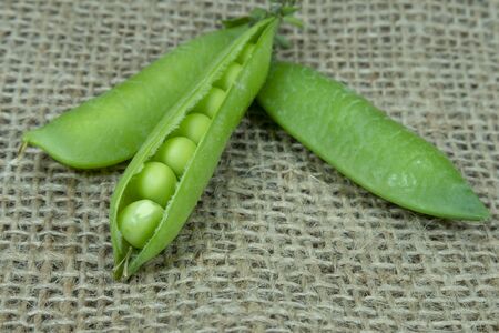 Fresh harvest green pea pods on brown jute background in a close up viewの写真素材