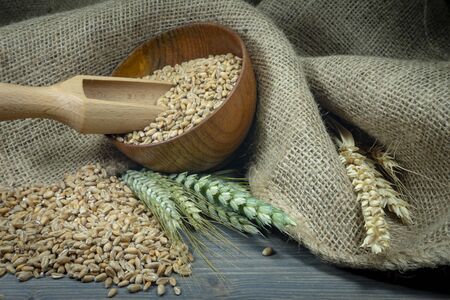 Wheat seeds spilling from a wooden bowl with ears or green and ripe golden wheat on hessian fabric in a close up view of staple foods and healthy dietの写真素材
