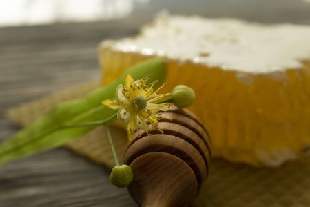 Block of comb honey with flower and wooden utensil for dispensing the honey in a low angle close up view in shadowsの写真素材