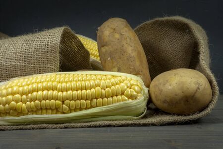 Raw, unpeeled potatoes and corncobs spilling out of hessian sack on a rustic old wooden tabletop, black wall in background, low angle viewの写真素材