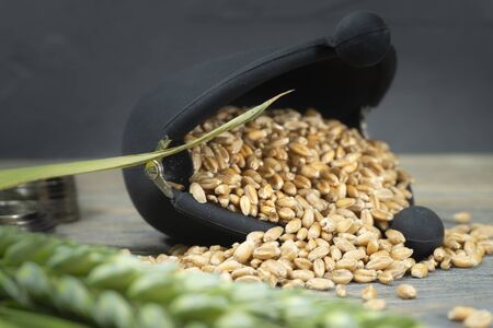 Wheat seeds spilling from a small frame purse with fresh ears of green wheat and staple of coins on a rustic wood background in an agricultural crop and grains prices concept with copy spaceの写真素材