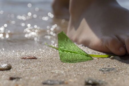 Danger of broken glass on a beach with a close up view of a shard of green glass protruding from the sand alongside the bare foot of a young personの写真素材