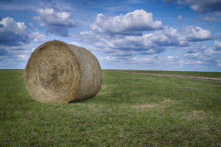 Freshly harvested circular hay bale in a field or pasture in summer in a low angle view under a cloudy blue sky in an agricultural landscapeの写真素材