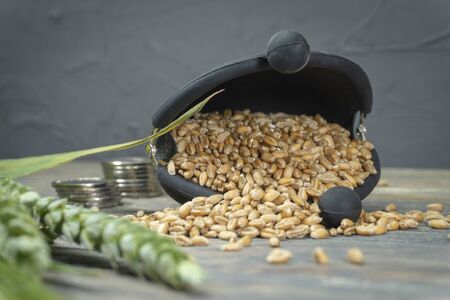Wheat seeds spilling from a small frame purse with fresh ears of green wheat and staple of coins on a rustic wood background in an agricultural crop and grains prices concept with copy spaceの写真素材