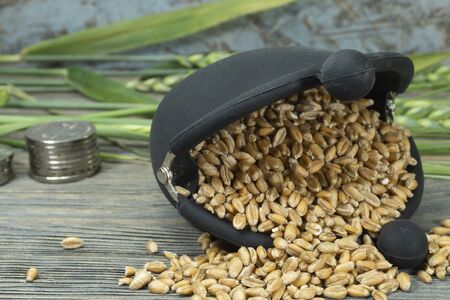 Wheat seeds spilling from a small frame purse with fresh ears of green wheat and staple of coins on a rustic wood background in an agricultural crop and grains prices concept with copy spaceの写真素材