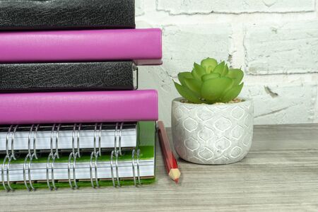 Back to school concept with pile of books and potted plant against a white brick wall with free copy spaceの写真素材