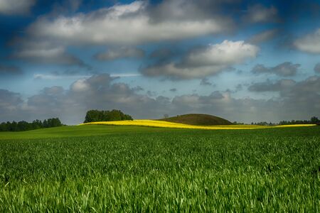 Agricultural landscape with rolling hills, ploughed farm field, meadow and a trees in a fieldの写真素材