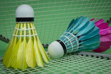 Badminton rackets and colorful feathered shuttlecocks in blue, yellow and pink on green background in a close up viewの写真素材