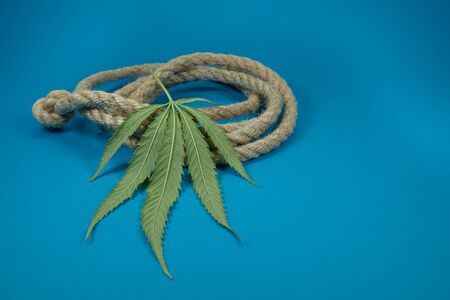 Natural hemp fiber rope and cannabis leaf, types of cannabis products conceptの写真素材