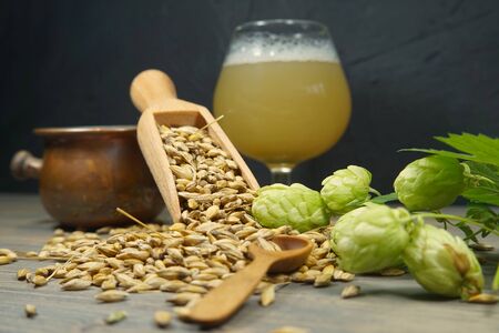 Branch of fresh hops on the plant and barley seeds spilling from wooden scoop behind frothy beer or ale in a tall stemmed goblet in a conceptの写真素材