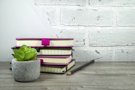 Back to school concept with pile of books and potted plant against a white brick wall with free copy spaceの写真素材
