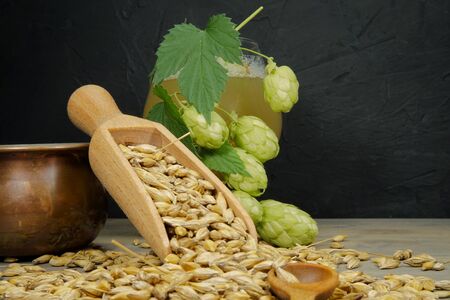 Branch of fresh hops on the plant and barley seeds spilling from wooden scoop behind frothy beer or ale in a tall stemmed goblet in a conceptの写真素材