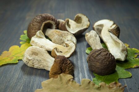 Freshly harvested woodland mushrooms on a rustic table conceptual of the Autumn or fall harvest found in natureの写真素材