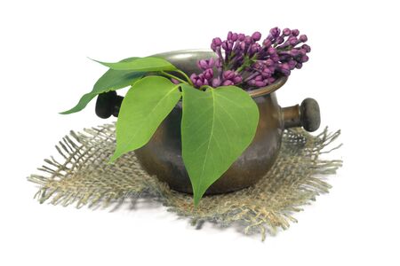 Purple lilac blossoms in a old vintage brass pot on a square of hessian isolated on white for bloom fragrance, lilac water themesの写真素材