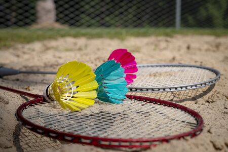 Colorful feathered shuttlecocks in blue, yellow and pink with a badminton net and racketの写真素材