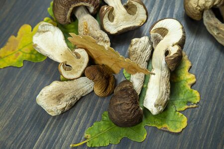 Freshly harvested woodland mushrooms on a rustic table conceptual of the Autumn or fall harvest found in natureの写真素材