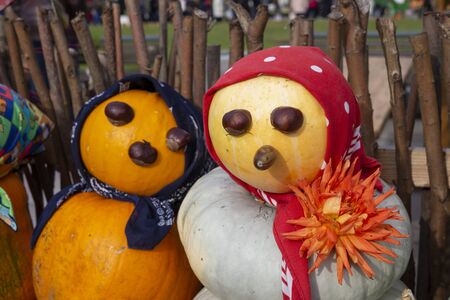 Colorful vegetable couple made from autumn pumpkins and squash with chestnut eyes and bandannas outdoors against a rustic wooden pole fence conceptual of the seasonsの写真素材