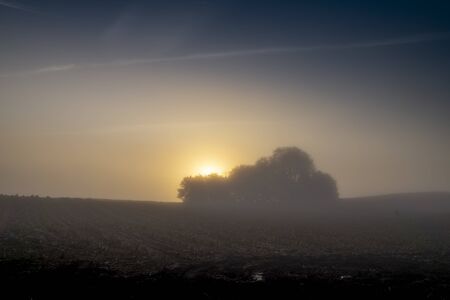 Early morning landscape with sunrise on the field. Distant tree silhouettes visible in dense fog, backlit with rising sunの写真素材