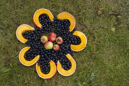 Fresh black berries and slices of yellow pumpkin forming big flower shape on the ground. Viewed from above with copy space. Harvest festival art objectの写真素材