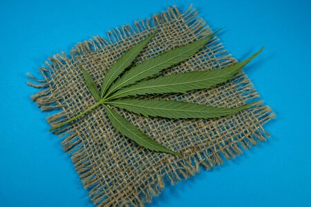 Close up of fresh cannabis leaf on a square of hessian, types of cannabis products conceptの写真素材