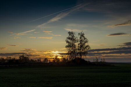 Colors of a beautiful dark sunset with couple of tree silhouettes on horizon skyline, colorful orange and yellow sky and clouds, viewed from low angleの写真素材