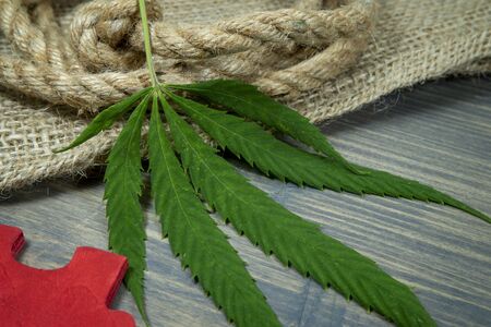 Conceptual types of cannabis products concept image with a cannabis leaf, red wooden jigsaw puzzle piece and natural hemp fiber ropeの写真素材