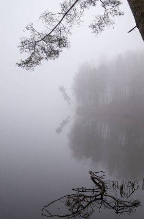 Reflections on a tranquil lake with autumn mist viewed past the branches of a tree in a serene atmospheric landscapeの写真素材