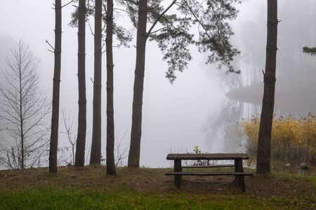 Picnic bench and table in a misty autumn park with colorful yellow leaves on the trees in an atmospheric landscapeの写真素材