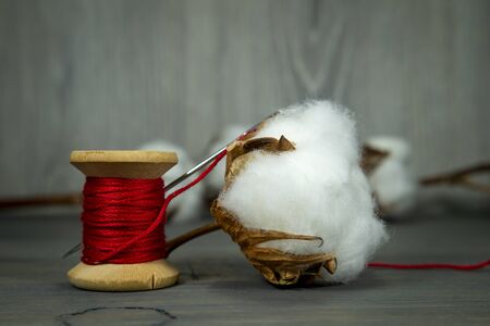Cotton boll with natural cotton on a wooden table alongside a festive red reel of bright red yarn with focus to the cotton in the foregroundの写真素材