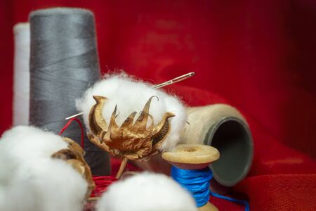 Reels of colored cotton yarn with a cotton boll filled with the natural fibre harvested from the bush over a festive red background with copy spaceの写真素材