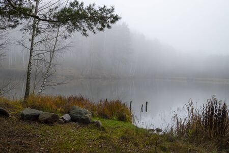 Atmospheric misty autumn landscape with a tranquil lake surrounded by forest trees and colorful foliage on the shoreの写真素材