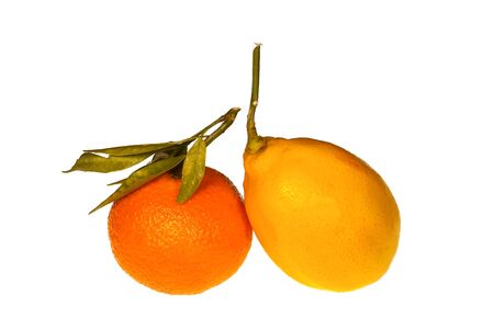 Fresh ripe clementine and lemon with twig and leaves isolated on a white backgroundの写真素材